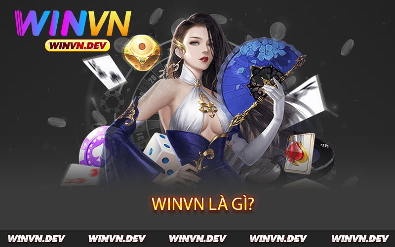 Winvn-là-gì